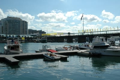 DSC_2930.JPG