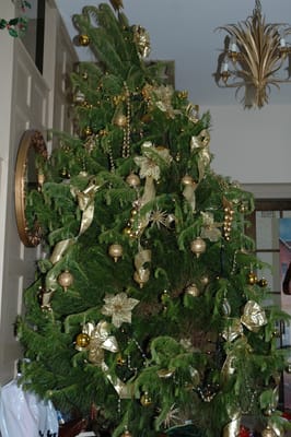 DSC_4748.JPG