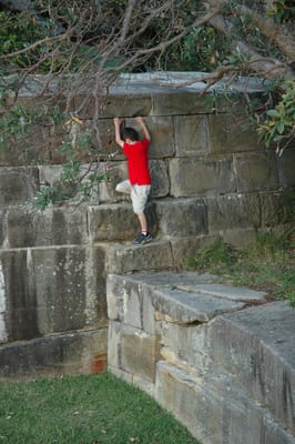 DSC_4800.JPG