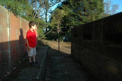DSC_4801.JPG
