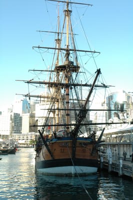 DSC_3896.JPG