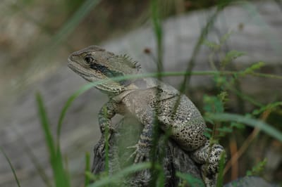 DSC_2905.JPG