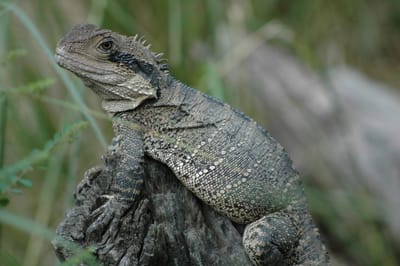 DSC_2909.JPG