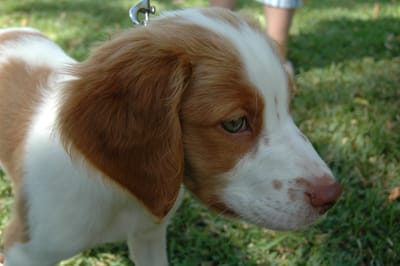 DSC_4943.JPG