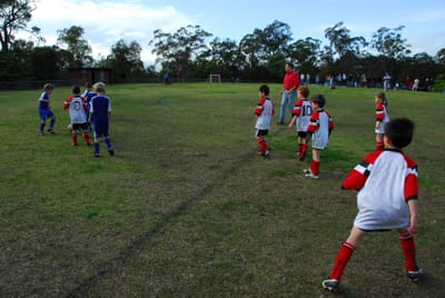 DSC_1093.JPG