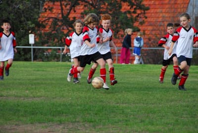 DSC_1095.JPG