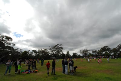 DSC_1195.JPG