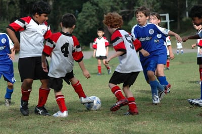 DSC_5979.JPG