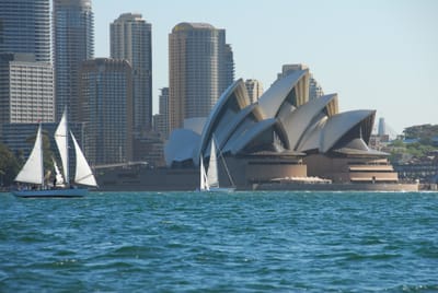 DSC_1798.JPG