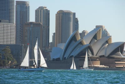 DSC_1799.JPG