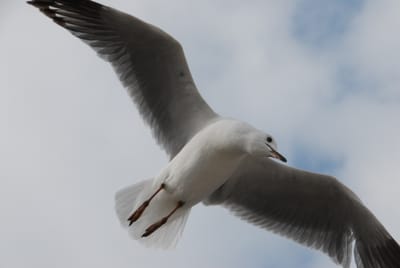 DSC_0224.JPG