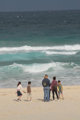 DSC_0228.JPG