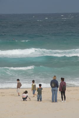 DSC_0229.JPG