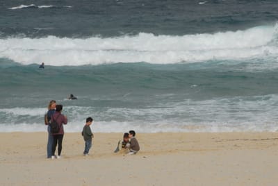 DSC_0232.JPG