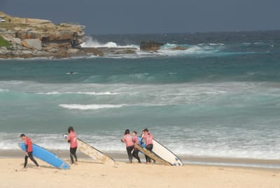 DSC_0236.JPG