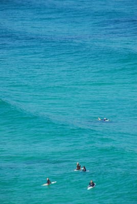 DSC_2419.JPG