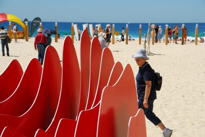 DSC_2447.JPG