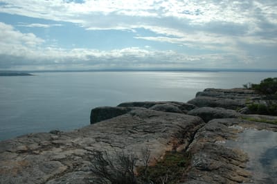 DSC_5731.JPG