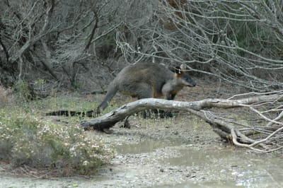 DSC_5743.JPG