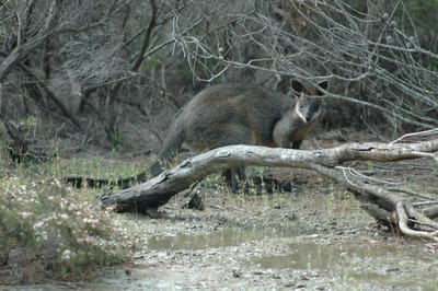 DSC_5744.JPG