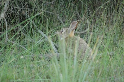DSC_5746.JPG