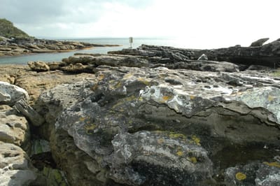 DSC_5749.JPG