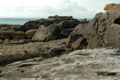 DSC_5752.JPG