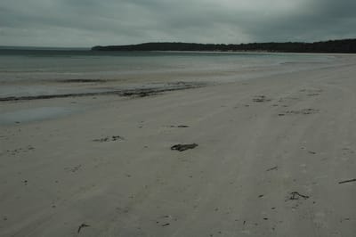 DSC_5763.JPG