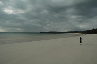 DSC_5772.JPG