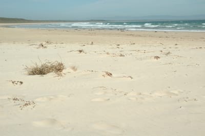 DSC_5792.JPG
