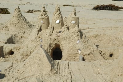 DSC_5798.JPG