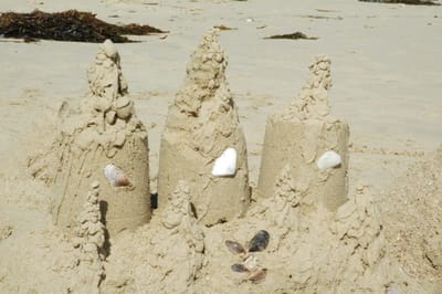 DSC_5802.JPG