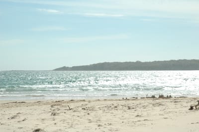 DSC_5809.JPG