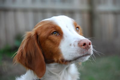 DSC_1033.JPG