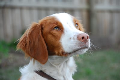 DSC_1034.JPG