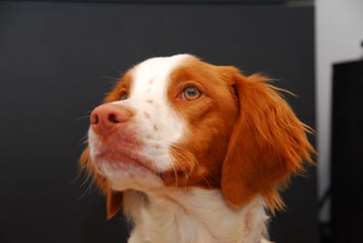 DSC_1044.JPG