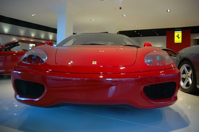 DSC_6237.JPG