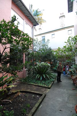 DSC_1521.JPG