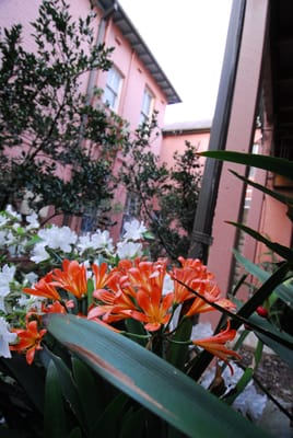 DSC_1524.JPG