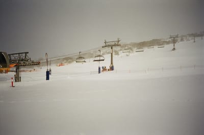29530030.JPG