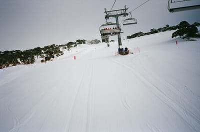 29540032.JPG