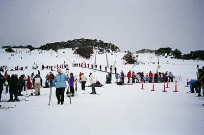 29540038.JPG