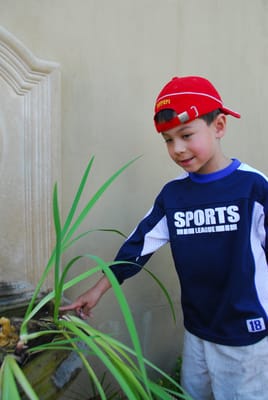 DSC_2011.JPG