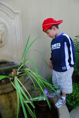 DSC_2012.JPG