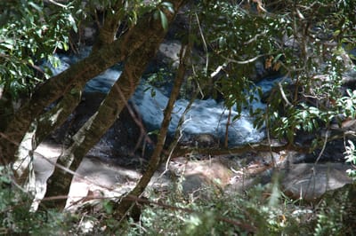 DSC_6085.JPG