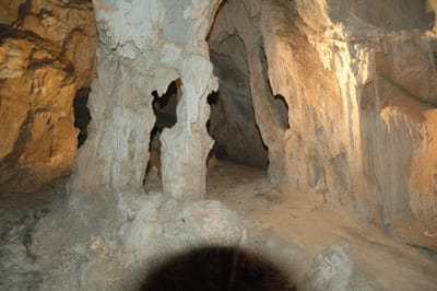 DSC_6095.JPG
