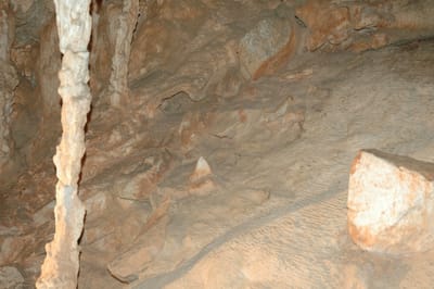DSC_6099.JPG