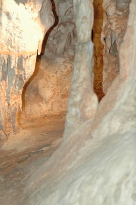 DSC_6100.JPG