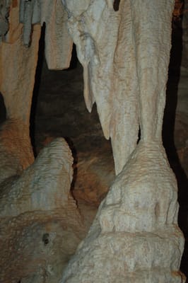 DSC_6102.JPG