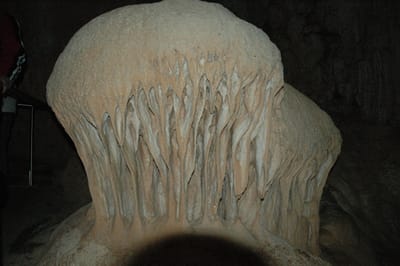 DSC_6104.JPG